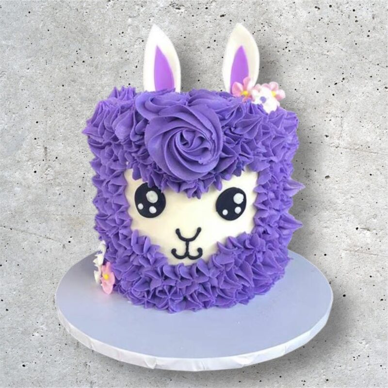 Cute Llama