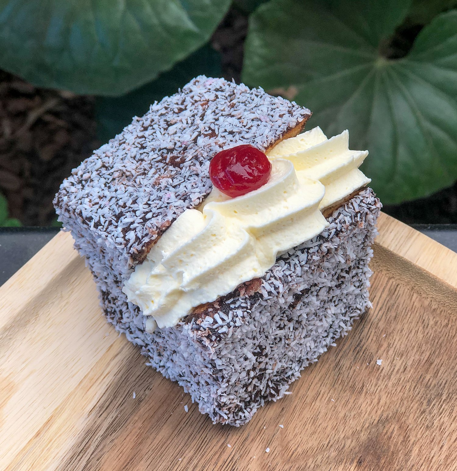 Creamed Chocolate Lamington - Kidd&amp;#39;s Cakes &amp; Bakery