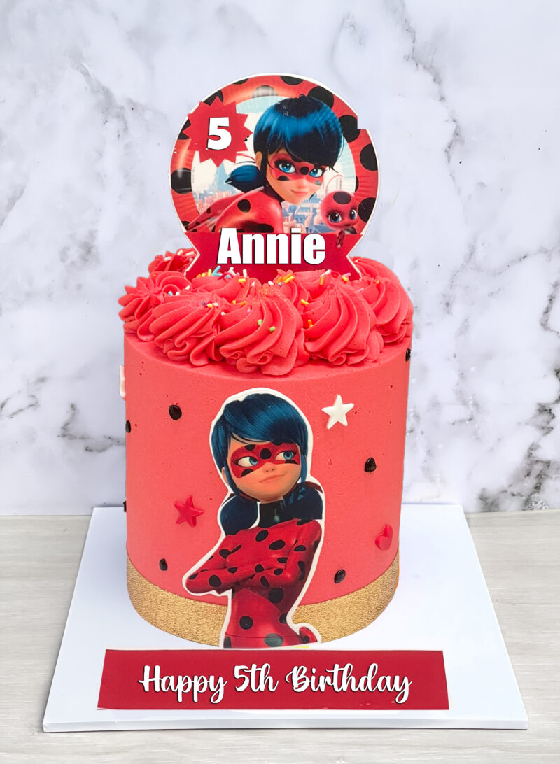 Lady Bug Miraculous